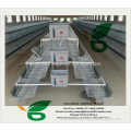 Poutlry equipments automatic chicken layer cage for sale in philippines for 96 chickens